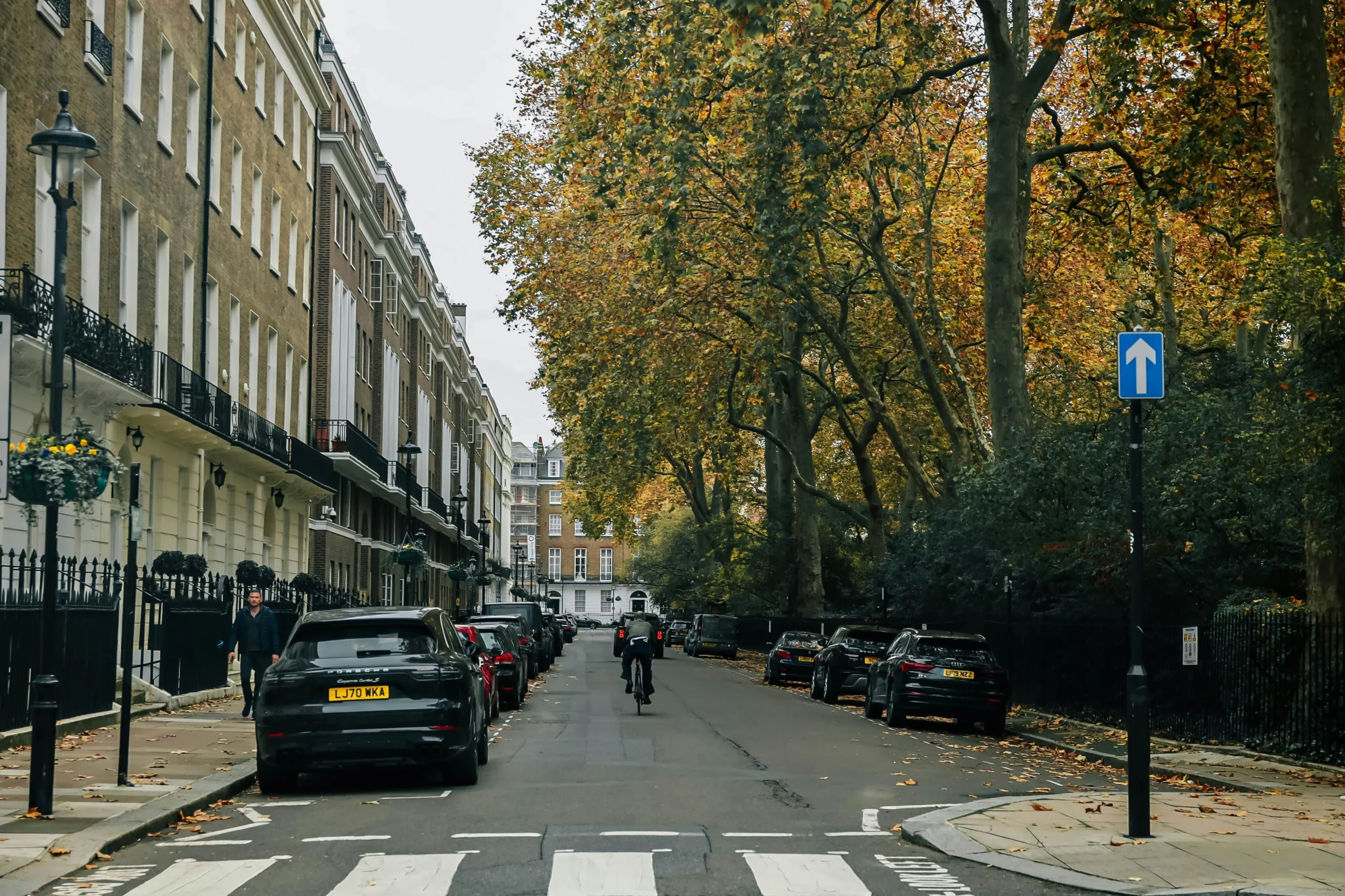 A tree-lined street in central London.