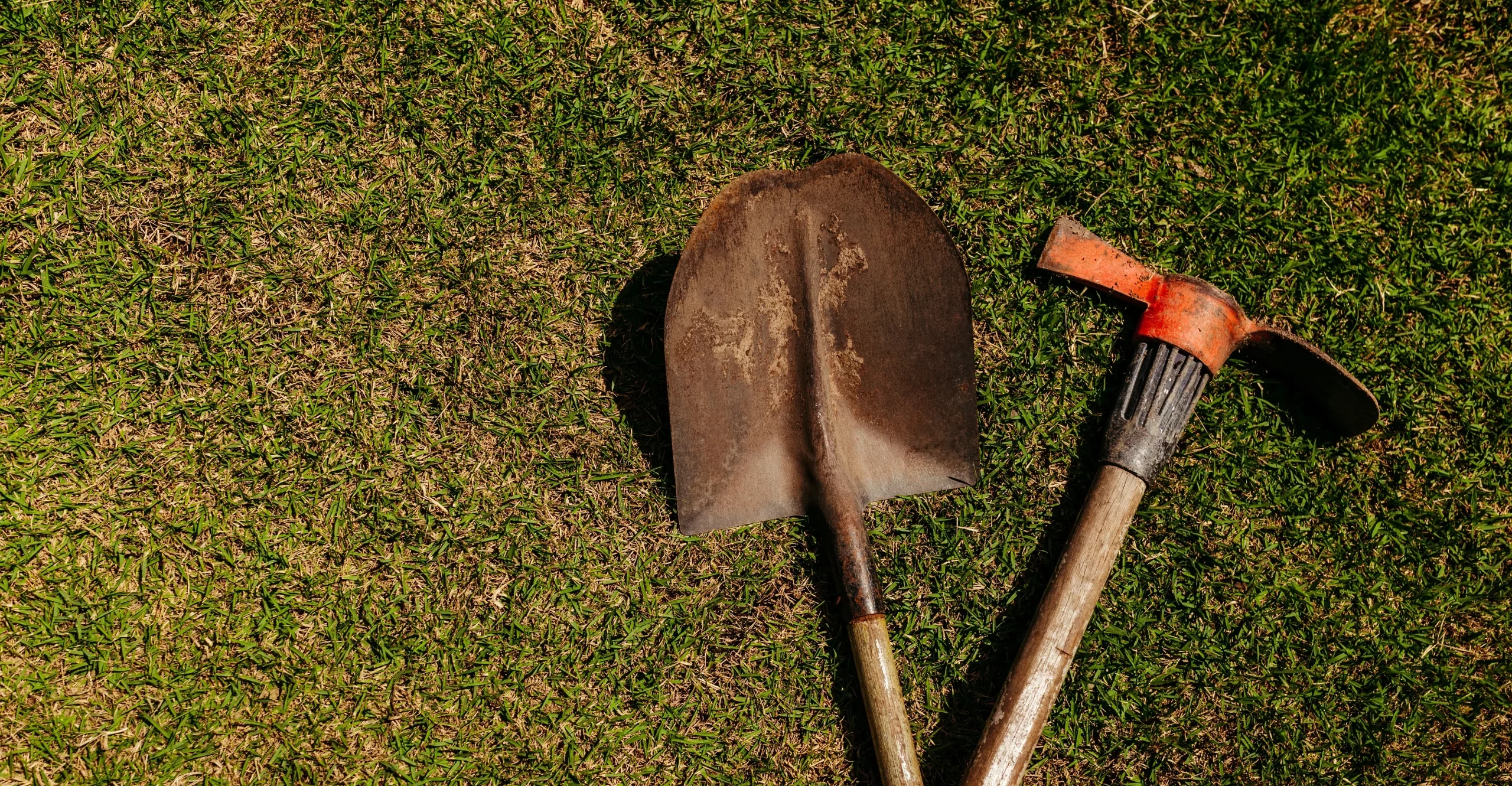 A shovel and pickaxe bought from a landscaping supplier lying on the grass