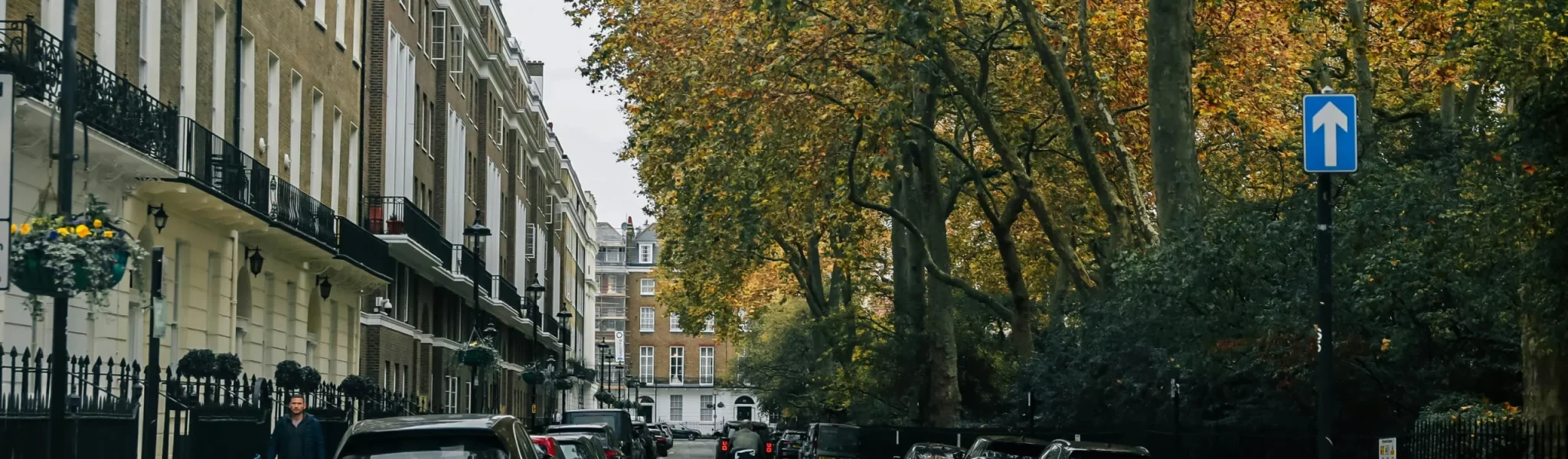 A tree-lined street in central London.